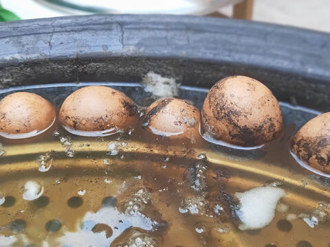 大锅煮鸡蛋