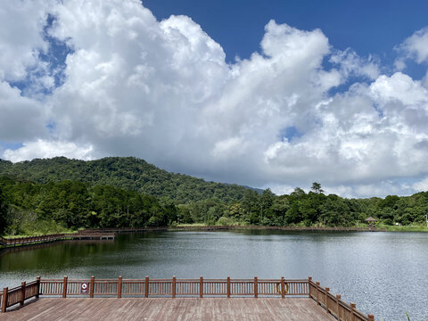 吊罗山森林度假村