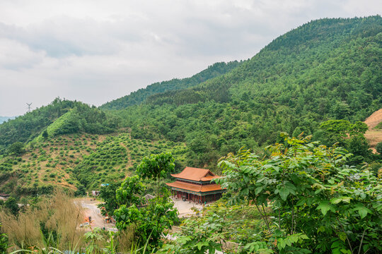 俯瞰沸水寺