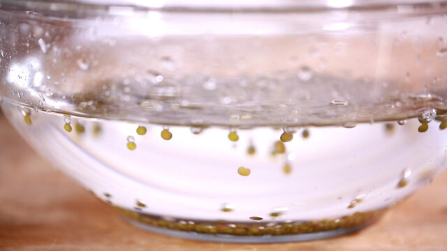 清水浸泡绿豆
