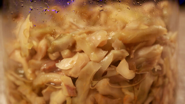 调料腌制水疙瘩咸菜丝自制榨菜