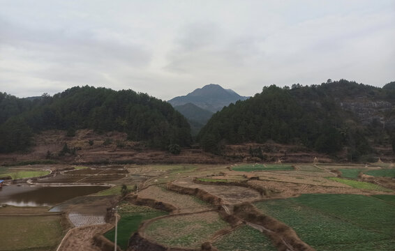 梯田和青山