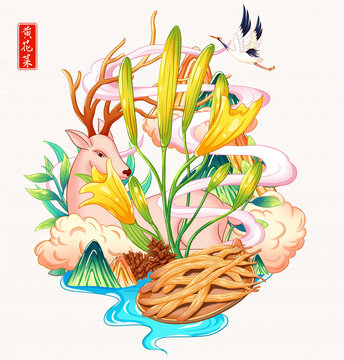 黄花菜插画手绘