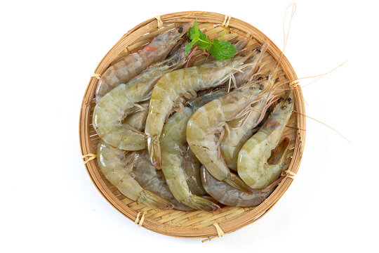 新鲜海白虾生鲜食材