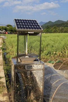 太阳能捕虫器