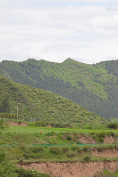 卓尼县城山野风光