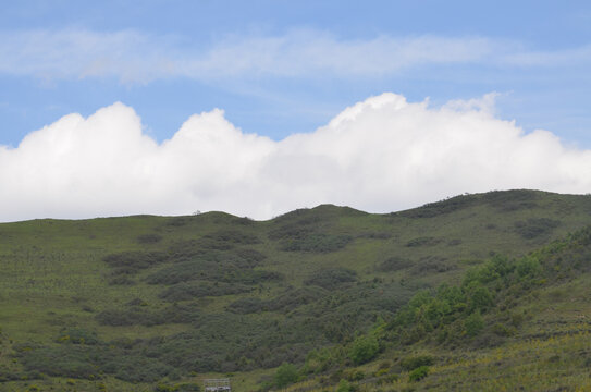 卓尼山景山梁