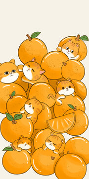 橘子猫手机壳