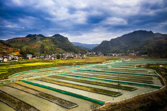 田园乡村