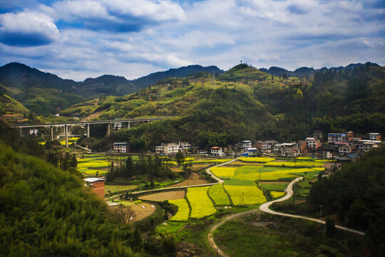 田园乡村