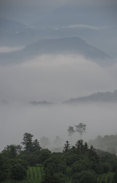 云雾山峰