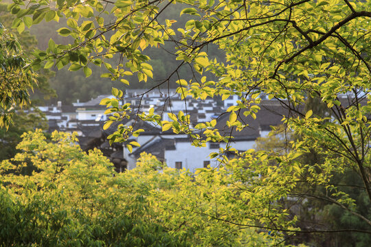 绩溪县龙川景区