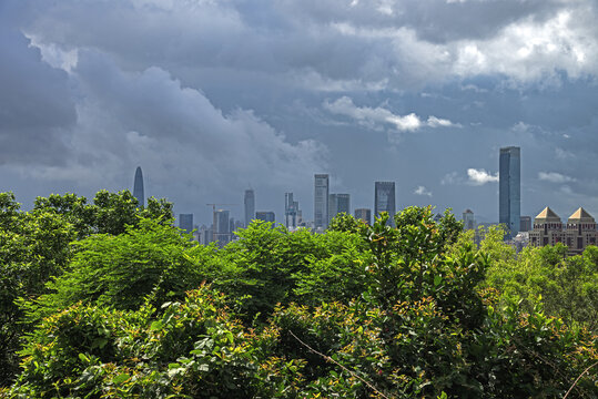 深圳莲花山公园