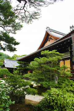 日本京都金阁寺风景