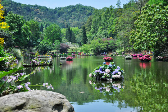 深圳仙湖植物园