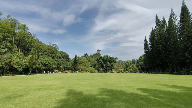 深圳仙湖植物园