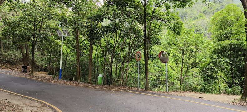 马峦山郊野公园盘山路