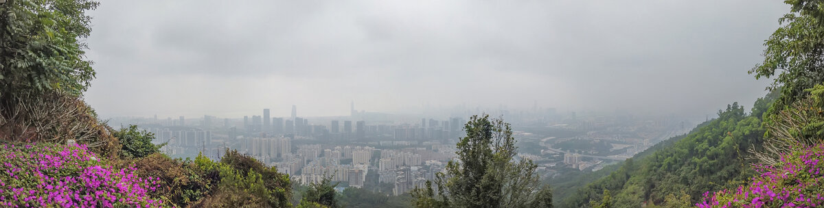 深圳塘朗山盘山道沿途景观