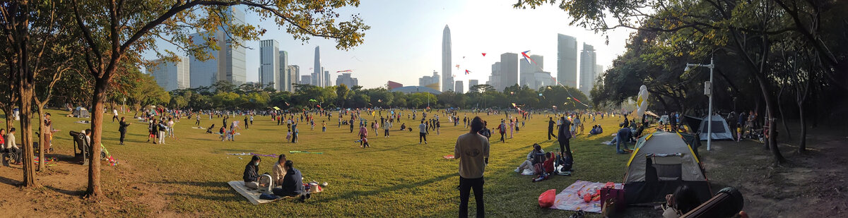 深圳莲花山公园风筝广场