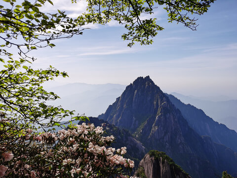 远望黄山天都峰