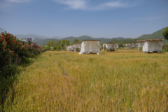 田中帐篷