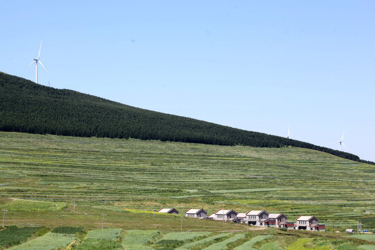 张家口坝上草原风情