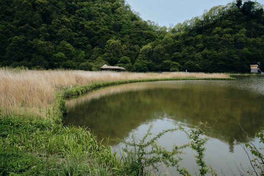 神农架大九湖湿地