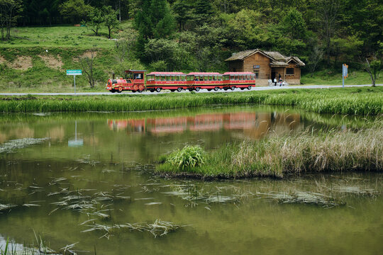 神农架大九湖湿地