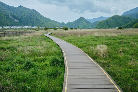 神农架大九湖湿地