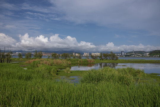 云南大理洱海湿地公园风景