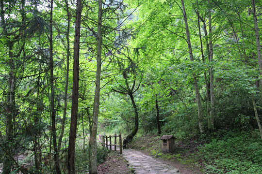 中国池州百丈崖风景区