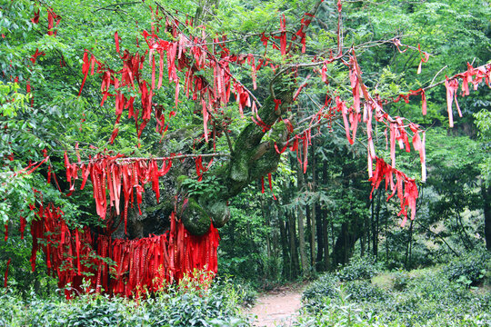 中国池州百丈崖风景区