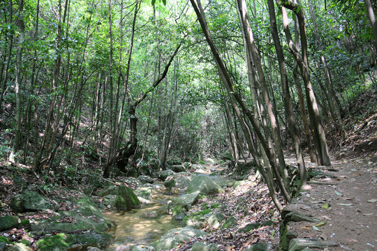 中国池州百丈崖风景区