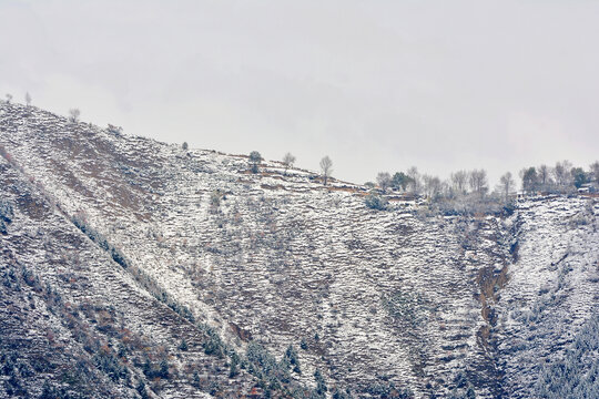 岷山雪韵