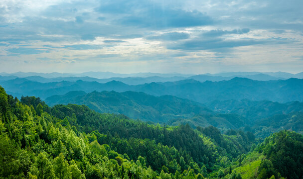 夏天山川山脉森林绿化生态环境
