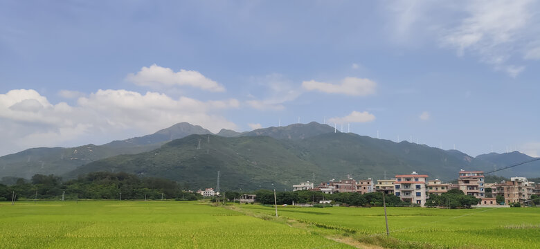 粤西乡村公路边的景色