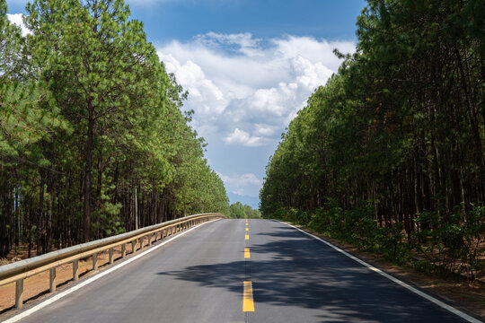 凉山木里林场波浪公路