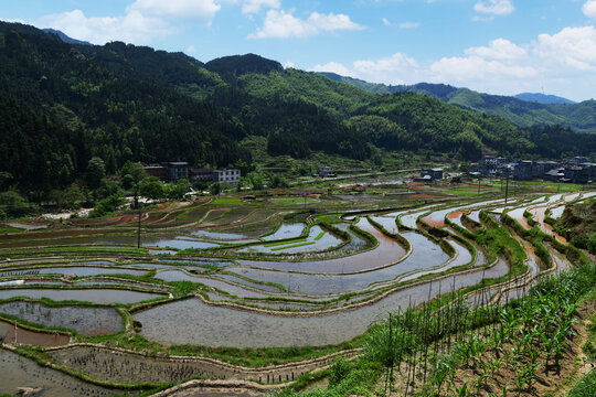 山村梯田