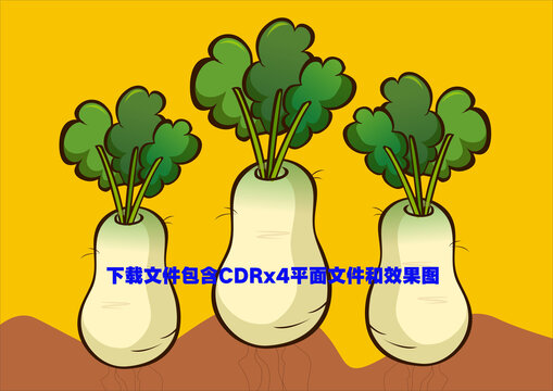 萝卜绿植蔬菜