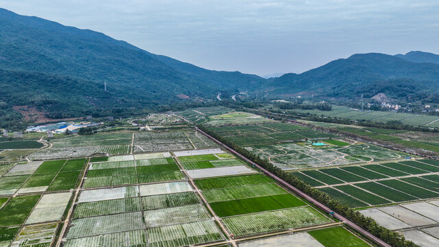 鸟瞰三亚国家水稻公园