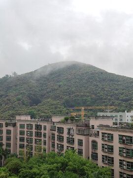 城市山林雨雾