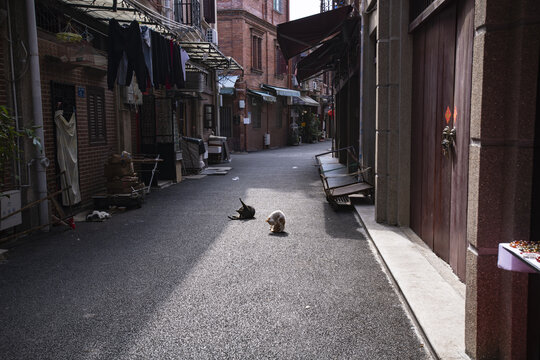 鼓浪屿街道