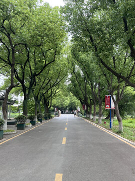 路