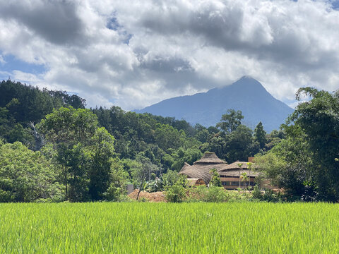 五指山毛纳村