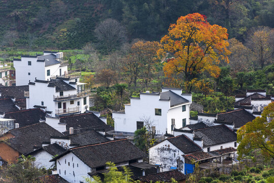 婺源石城秋色