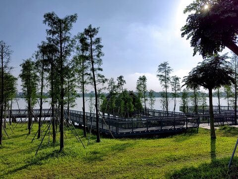 东莞企石东青湖湿地公园