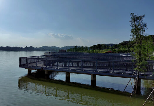 企石东青湖湿地公园