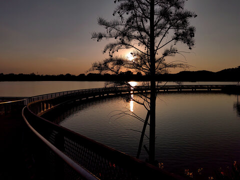 企石东青湖夕阳