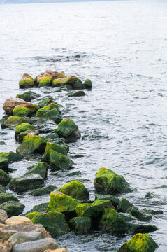 洱海绿藻礁石