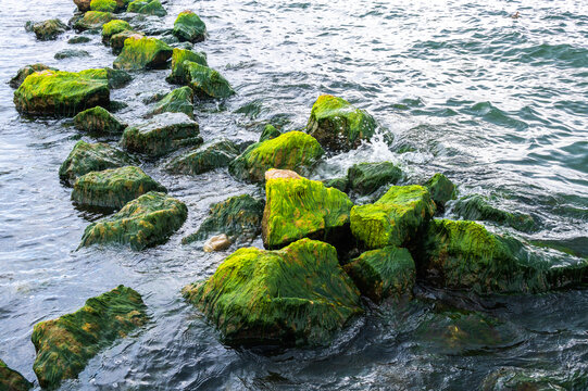 洱海浪花